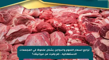 تراجع أسعار اللحوم والدواجن بشكل ملحوظ في المجمعات الاستهلاكية.. كم وفرت من ميزانيتك؟